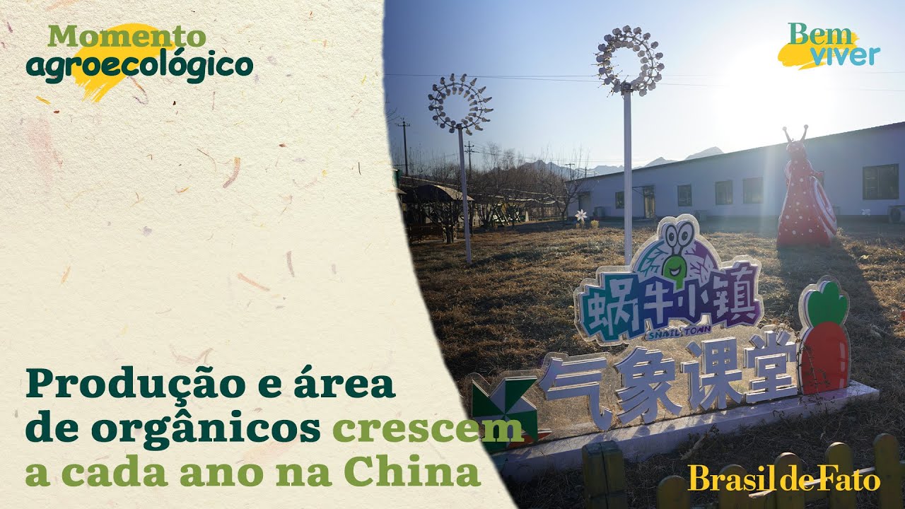 Produção e área de orgânicos crescem a cada ano na China