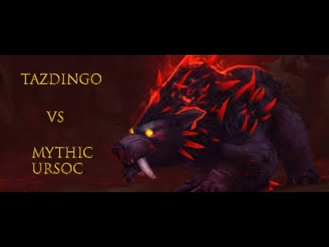 Tazdingo vs Ursoc - Emerald Nightmare Mythic