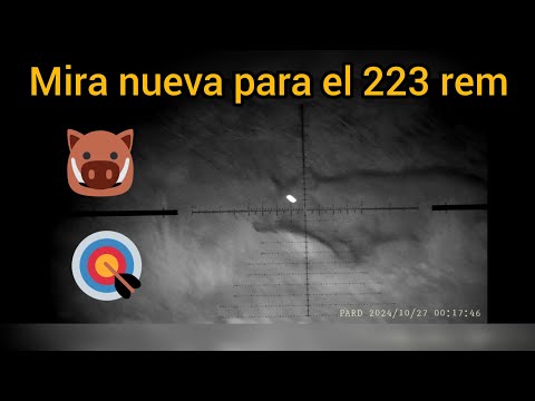 🐗Caza Jabalí. Espera Jabalí. Nueva mira para el 223 rem.