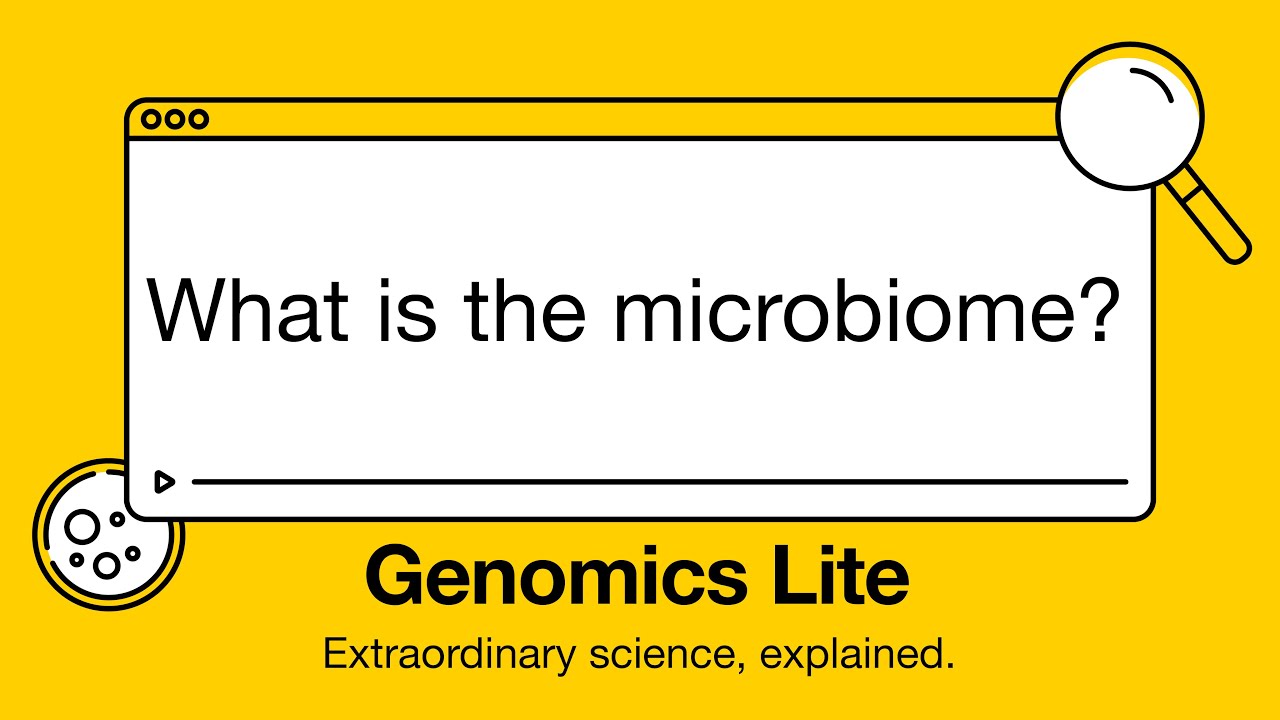 Genomics Lite: What is the microbiome?