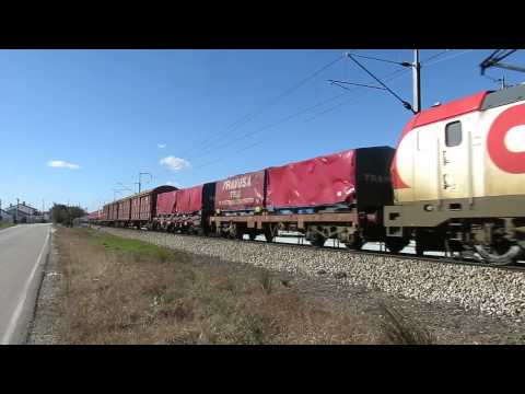 CP 4719 | 91226 | Fernando Pó