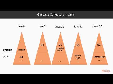 Java SE New Features: Covers Versions 9, 10, 11, and 12: The Course Overview|packtpub.com
