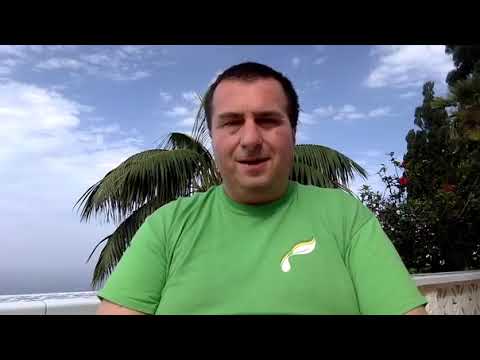 Ölvideo der Woche - Zitrone