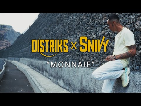 Distriks x Snivy - monnaie (video lyrics)