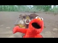 Elmo Meme 1 RUN ELMO RUN