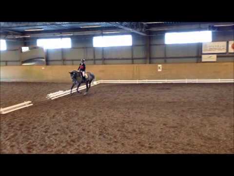 Teglvangs Wladimir (født 2008, Willemoes/Lando) 4/8-13