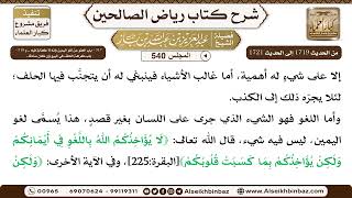 صورة المجلس 540 [‌‌317 - باب العفو عن لغو اليمين .. و318 - باب كراهة الحلف في البيع وإن كان صادقا..]