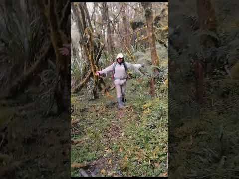 Camino del Inca, Pimampiro desde Angochagua 📍#trending