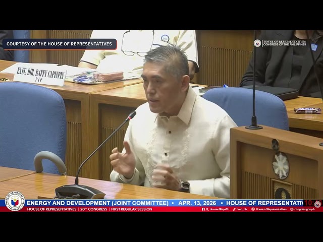 LPG use drops by 30% as Filipinos shift to charcoal