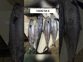 Cheapest Fish Market In Mumbai