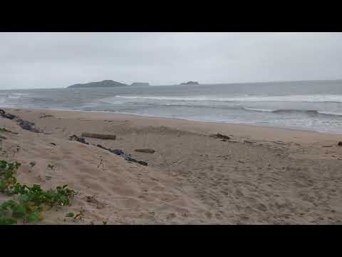Terça-feira inicia com ondas pequenas e chuva em Balneário Barra do Sul SC 
