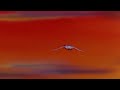 The End Released Thru United Artists 1977 Version 2