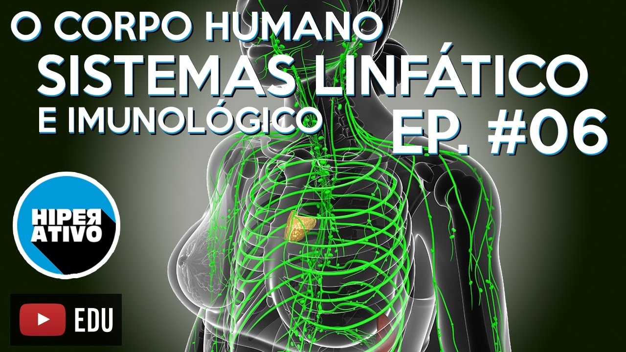 O Sistema Linfático | O Corpo Humano Ep. #6 | Hiperativo Biologia