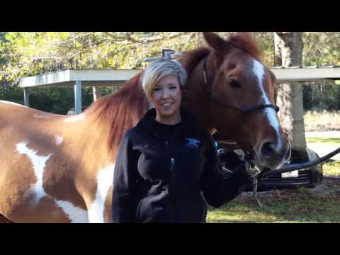 Arkansas Horseshoeing School - Student Now Successful Farrier