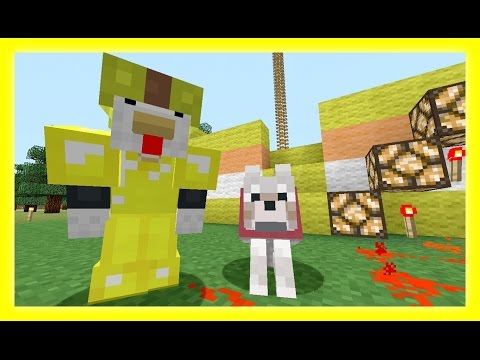 Feather Adventures - PLAYING TAG