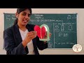 CLASS 3 MATHS CH 1 WHERE TO LOOK FROM MIRROR HALVES GURUKULAM ONLINE CLASSES