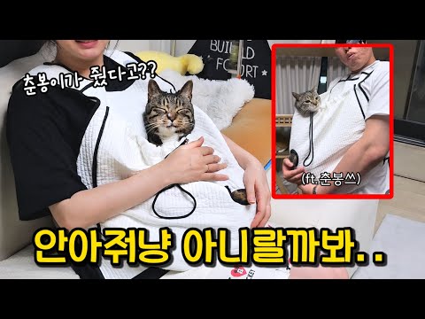 춘봉이가 보내준 선물이 마음에 든 호동이의 애틋한 행동 (어쩜 이래ㅠ) : 보는 사람까지 착하게 만드는 고양이