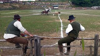 "Tradition lebendig halten": So leben Italiens Cowboys, die Butteri in der Maremma