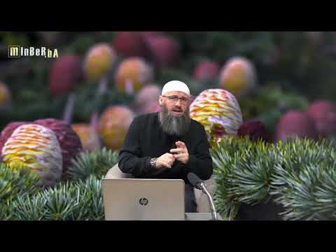 Propisi poslije rođenja djeteta - Elvedin Pezić