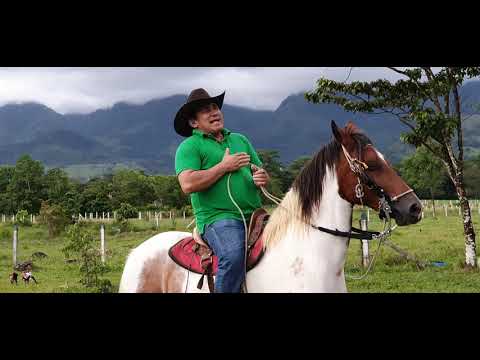 Palomita Mensajera - Vilamil Torres "El Azulejo del Llano"
