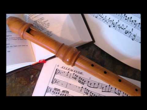 Ludwig van Beethoven - Duo pur flûtes "allegro con brio"