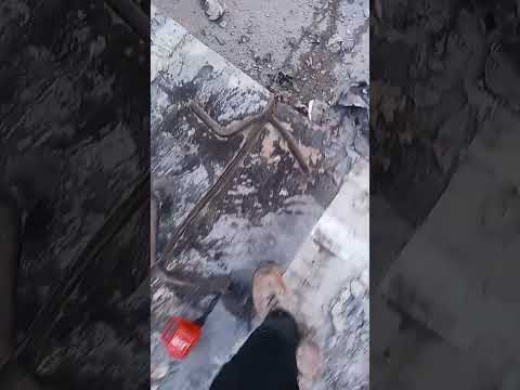 Armado de Zetas en rajadura de Loza.