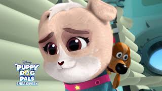 Blast Off! 🐾 | Puppy Dog Pals | Disney Junior