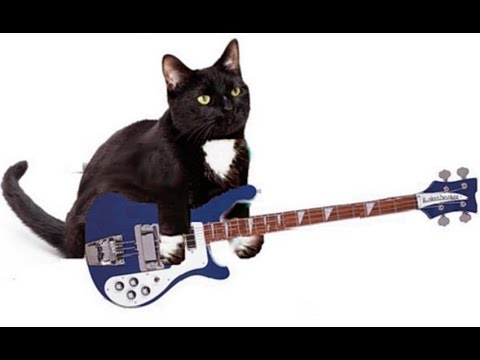 Sometimes Hearts Collide - Particle House - Diamond Dave