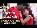 Bommana Brothers Chandana Sisters Video Songs Vana Osthe Video Song Naresh Farzana