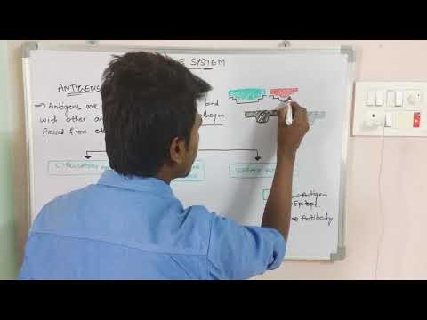 POINT MUTATION BY PHANINDRA GUPTHA