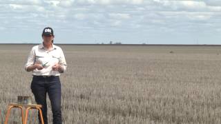 Daytime conditions (for spraying): A demonstration of air movement after an inversion breaks