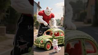 🍉 They Destroyed the Watermelon Car 🚗 Dad Cat Built for His Son 🐾