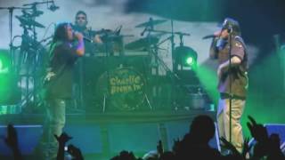 Charlie Brown Jr - Me Deixa [feat. Marcelo Falcão]