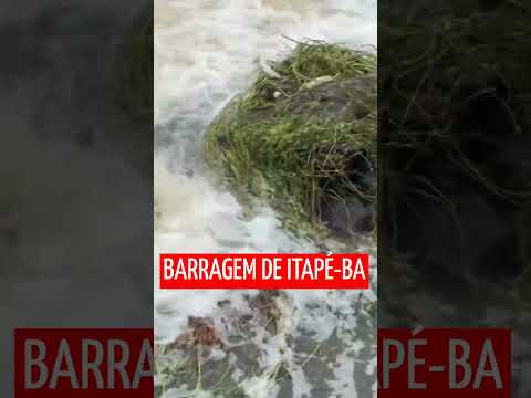 Barragem de Itapé-BA