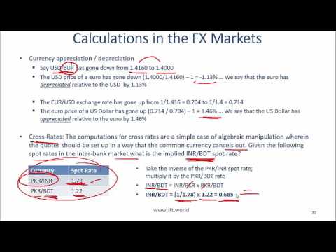 2017 Level I CFA Economics: Currency Exchange Rates Summary