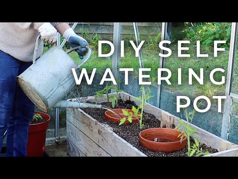 DIY Self-Watering Pot for the Garden (Olla Update)