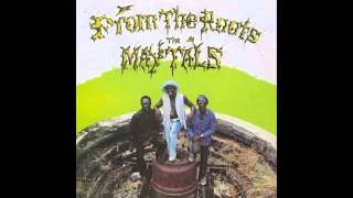 Your Troubles Are Over — Toots &amp; the Maytals