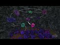 Glycolysis Animation Biochemistry