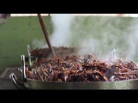 Santo Daime and Ayahuasca Shamanic Ceremony - Céu da Lua Cheia - São Paulo - Brasil