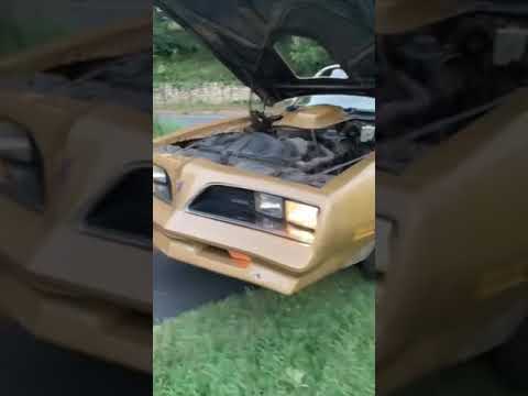 1978 Pontiac Firebird Trans Am (CC-1246828) for sale in Mount Penn, Pennsylvania