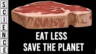 Why Meat Should Be Taxed and Eating Less Will Save Our Planet