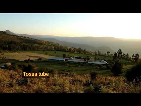 አንጎራጉራለሁ የደላው መስየ ለሊቱ እንዲነጋ ቀኑ እንዲመሽ ብየ