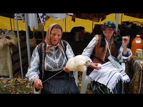 Anetta Husca din Bârsești