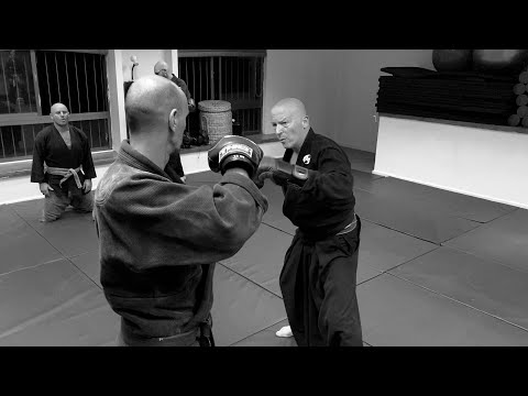 Revisiting 5 ancient kata - The GOGYO, AKBAN Ninjutsu with Yossi Sheriff