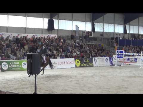 Edward Levy & Quarto Mail . Grand Prix 1m55 Lorient .