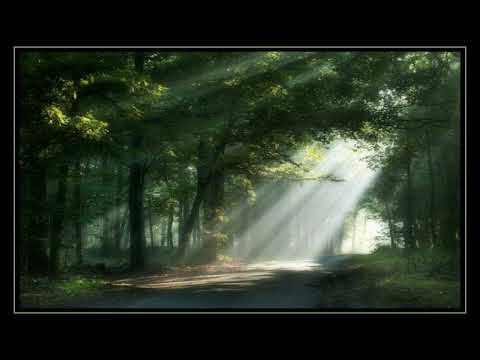 El Camino hacia la Autosuperación: Encuentra Esperanza y Motivación en el apoyo mutuo