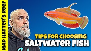 How to Choose the Right Saltwater Fish