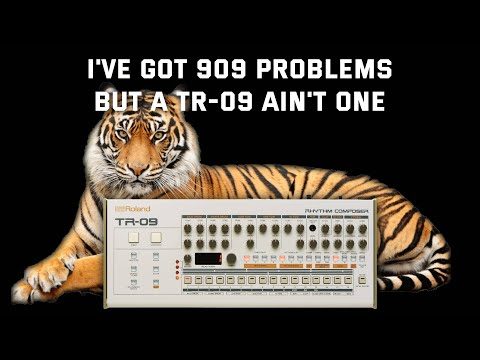 TR-09 Amazing Tutorial Series Starts Here! - Roland Drum Machine, Getting started and LIVE playing.