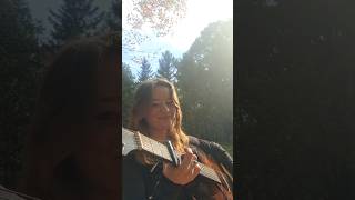 ballad of geraldine ~ donovan 🐞🍁 #folk #guitar #donovancover #fingerpicking #nature #autumn