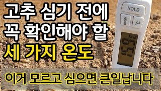 고추 심기 전에 꼭 확인해야할 세 가지 온도 - 이거 모르고 심으면 큰일 납니다
